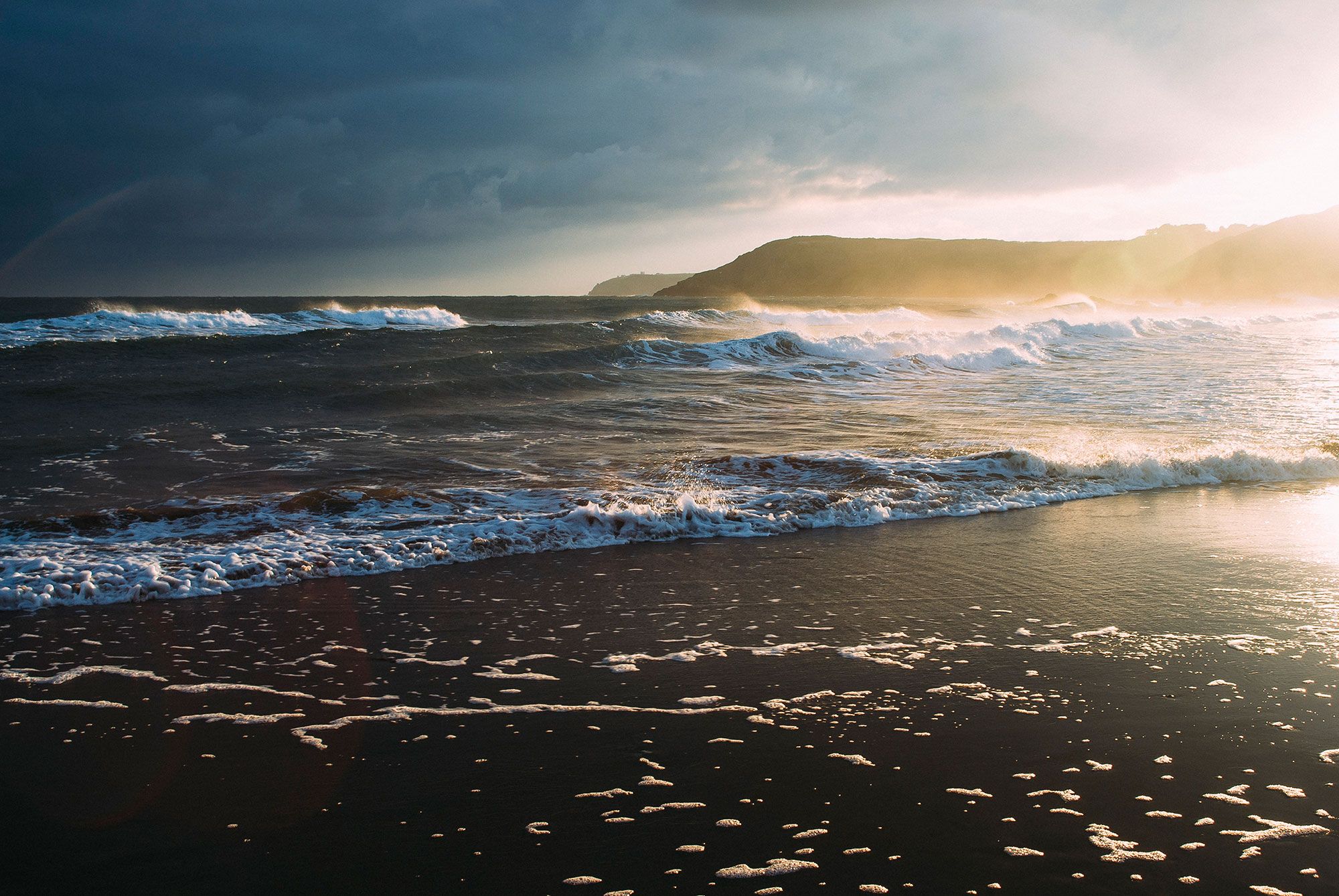 mare
